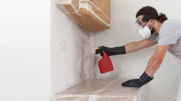 Professional Bathroom Mold Removal technician working in Elkton, VA