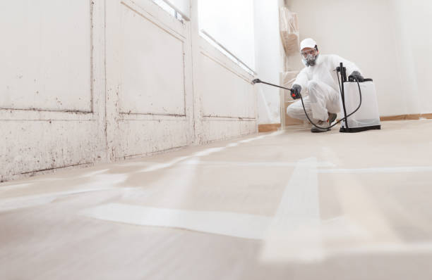 24/7 Emergency Bathroom Mold Removal experts in Elkton, VA