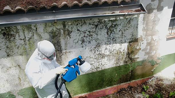 Top rated local Bathroom Mold Removal specialists in Elkton, VA